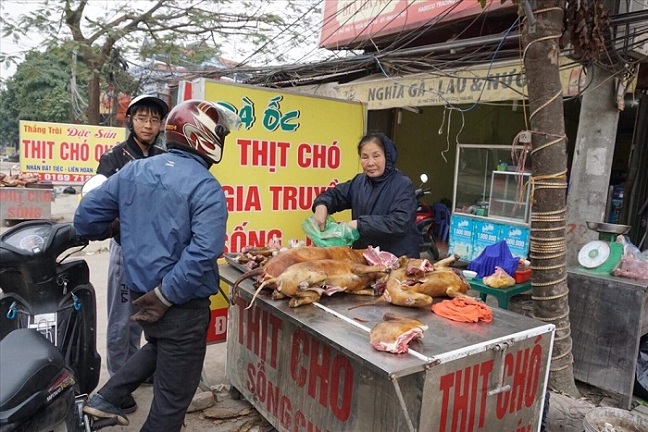 manger du chien au vietnam consommation